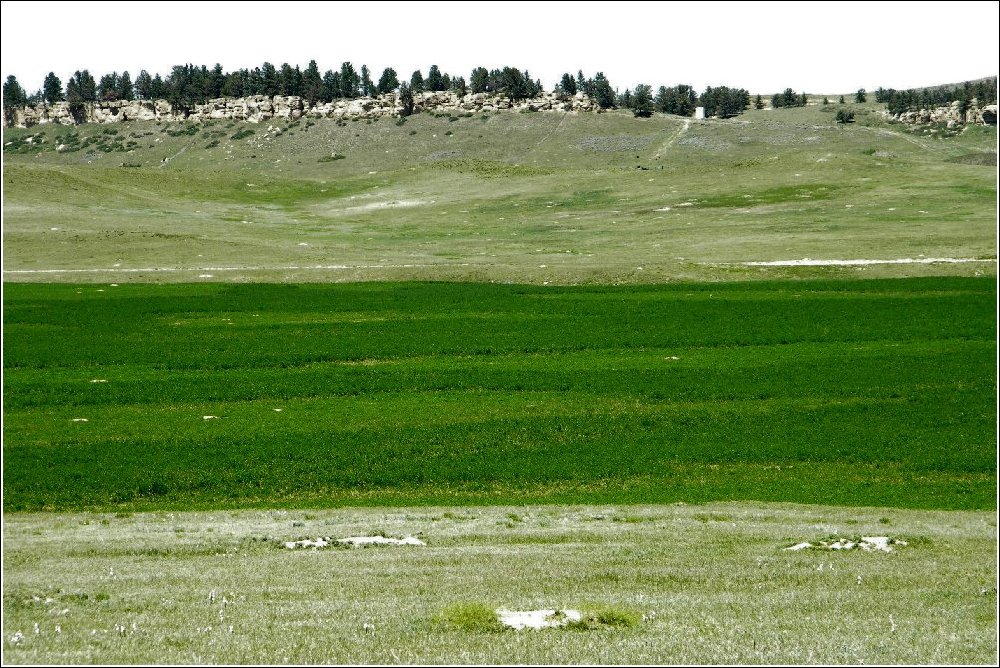 can you shoot prairie dogs in montana